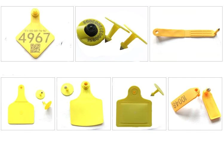ear tags' shapes ear tags' shapes