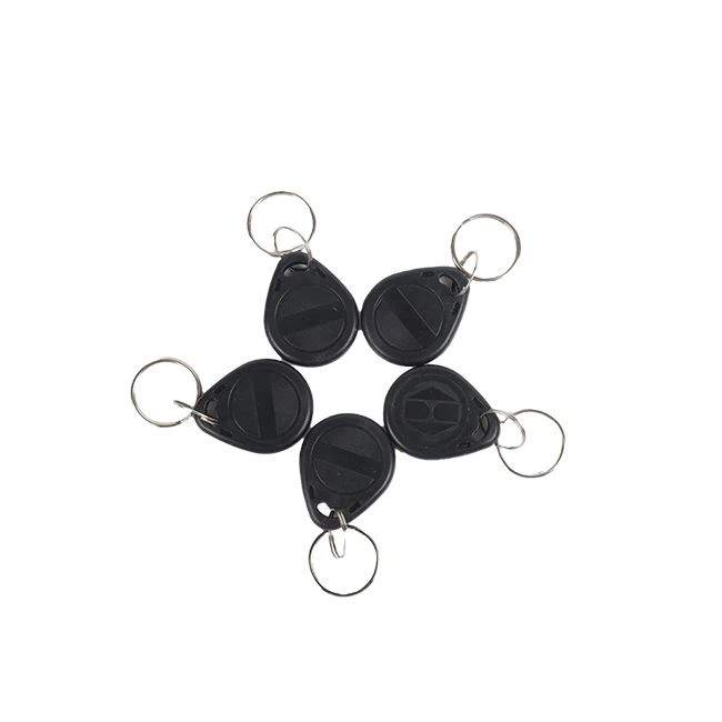 Read Only TK4100 ID Keyfob