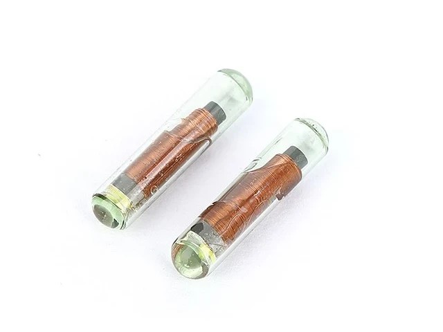 Dog microchip implantation kit Dog microchip implantation kit