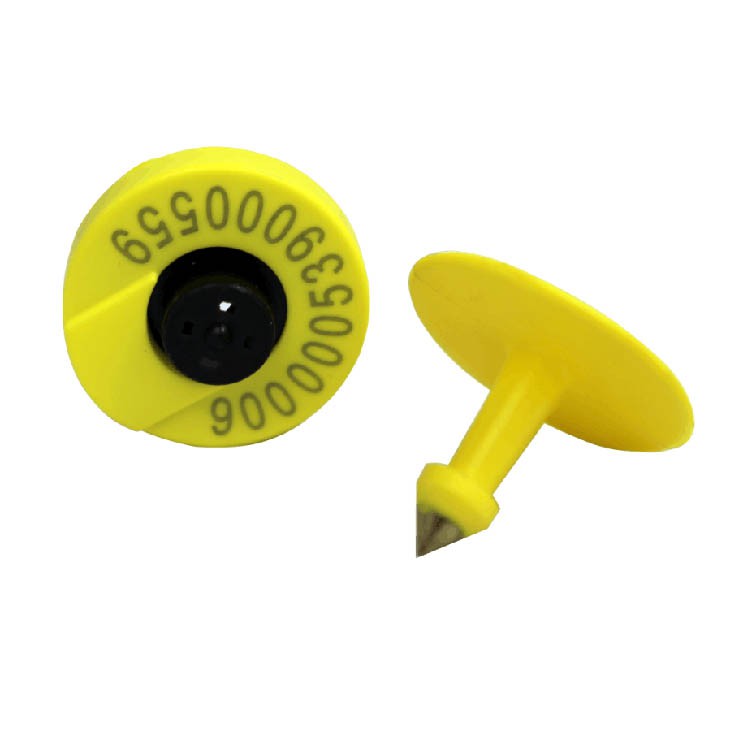 cattle ear tag